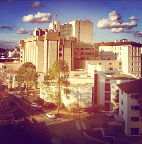 69404_10151330822376397_1808539514_n