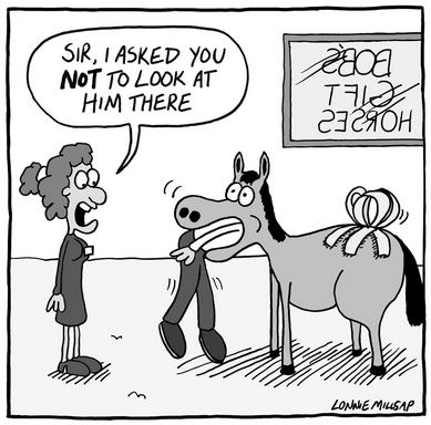 Gift Horse In The Mouth