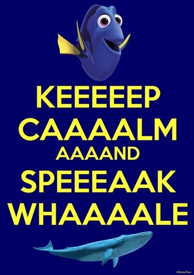 b0c5f558ed9d32b2974e9c0892e651b6