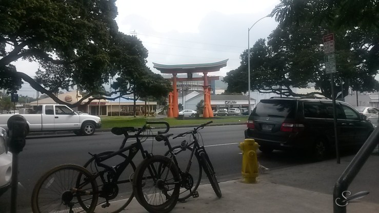 AlishaasNeighborhoodHonolulu_ST