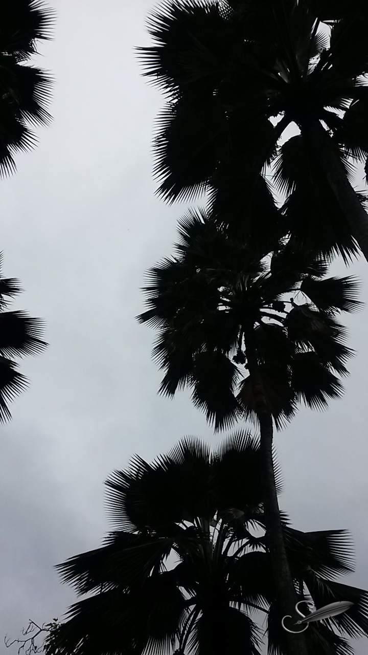 tagged20150220_150034