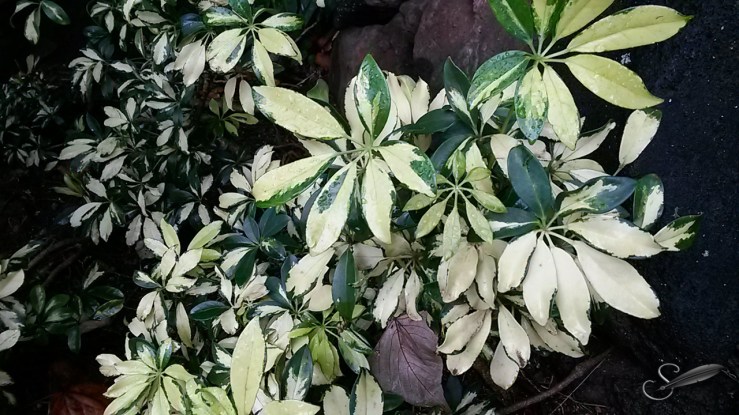 tagged20150220_150244(0)