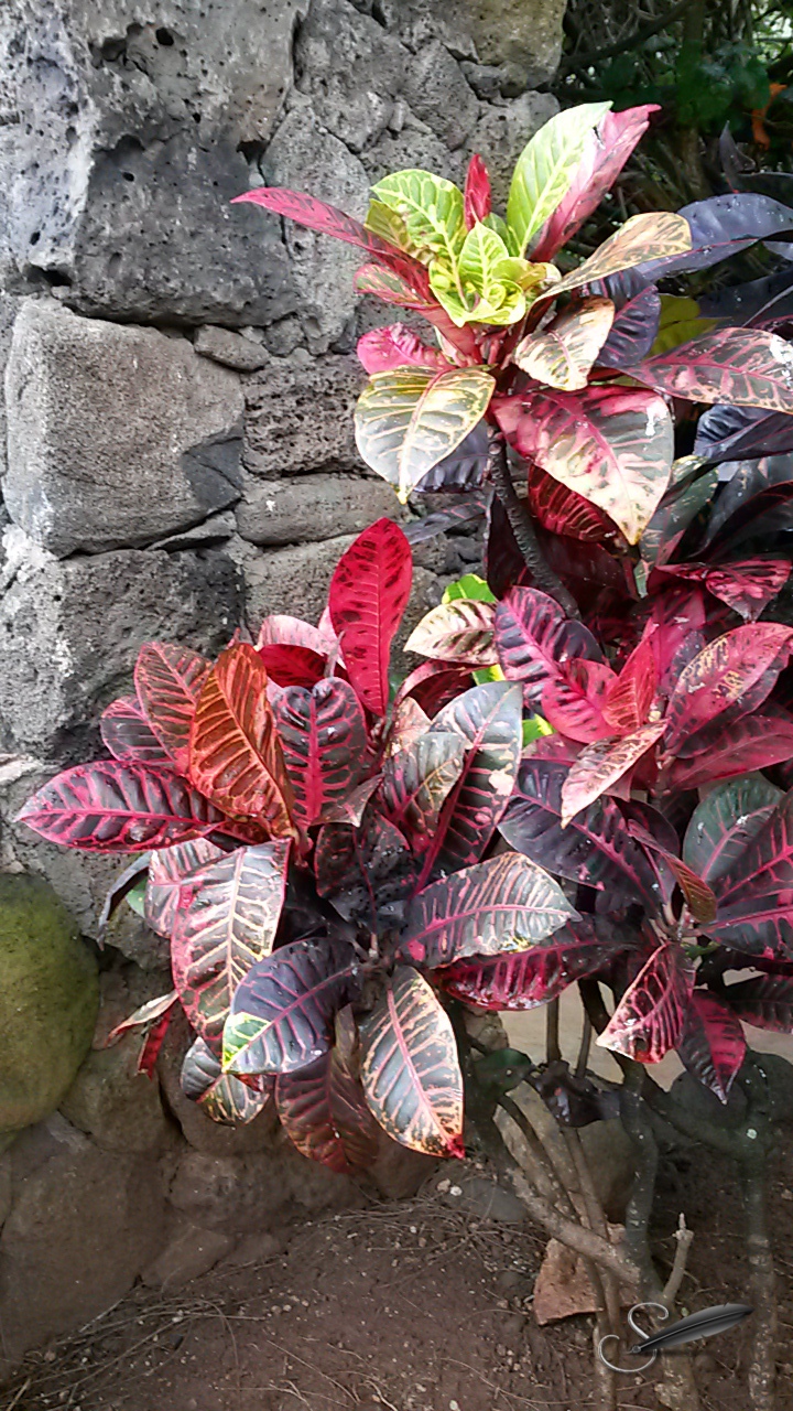 tagged20150220_150307