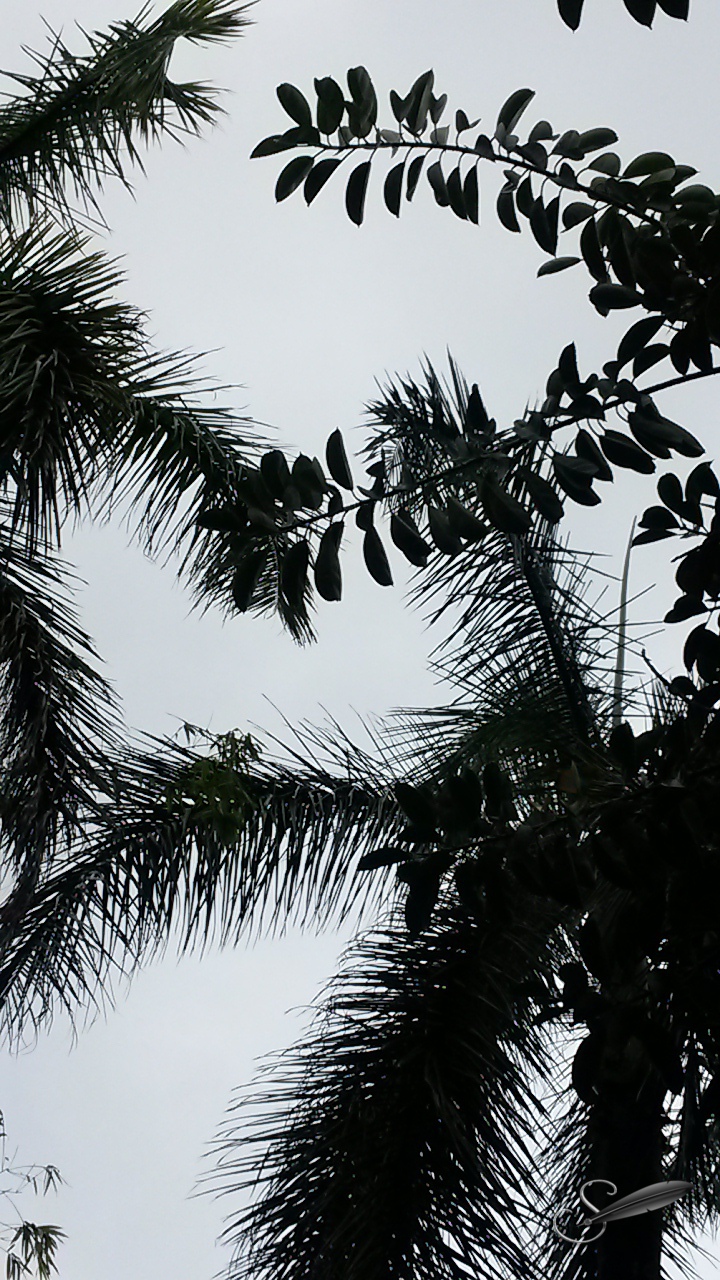 tagged20150220_151015