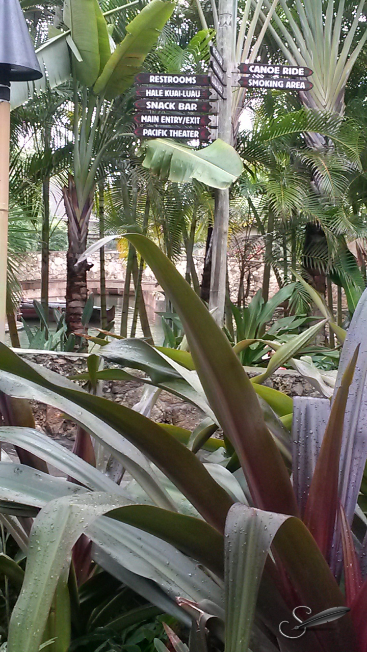 tagged20150220_151101