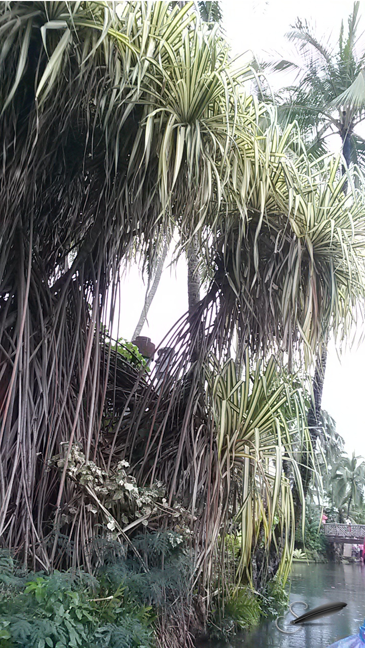 tagged20150220_155554