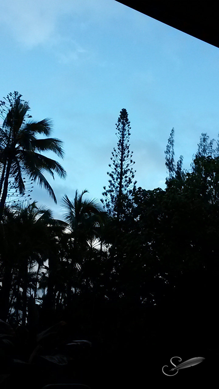 tagged20150220_175947