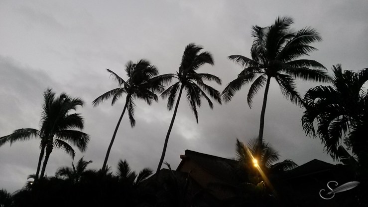 tagged20150220_184346