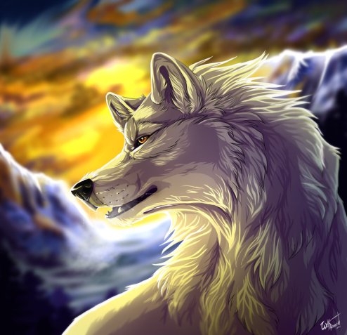 white_wolf_by_wolfroad-d4uhn3w